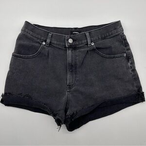 Express Dark Denim Jean Shorts